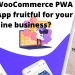 WooCommerce PWA Mobile App